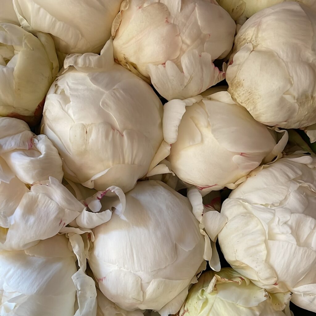 Instagram post from het.plan.bureau. This post is in position 3.